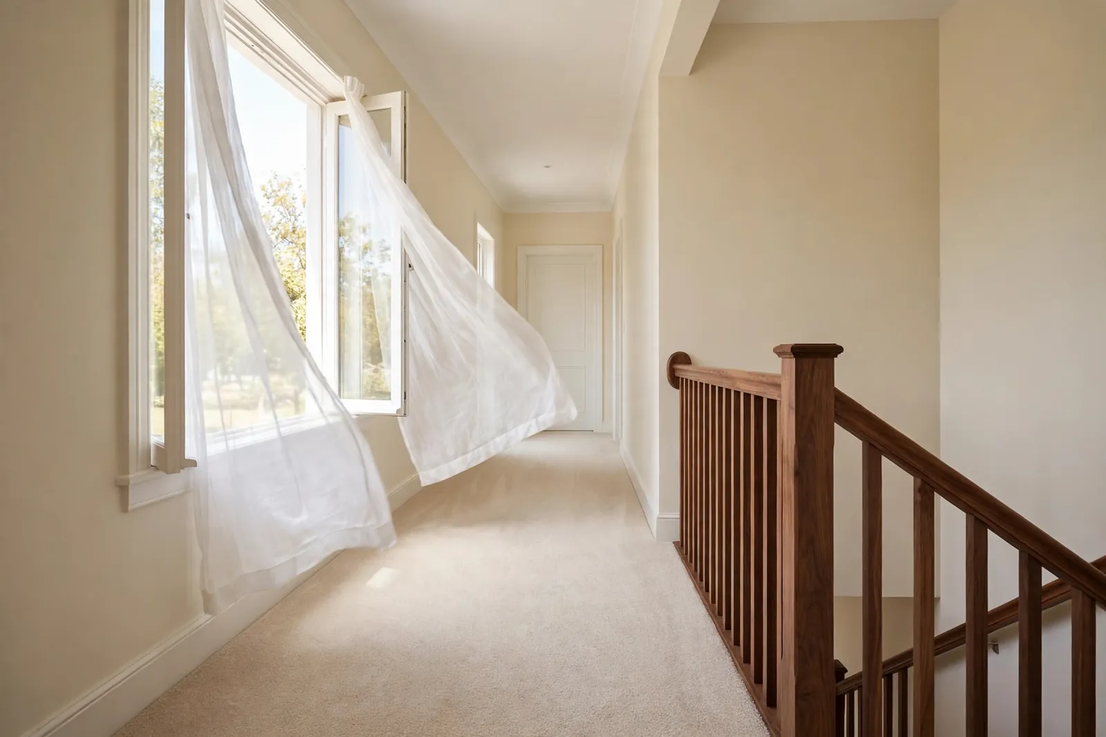 Carpet Deodorizing —  Carpet Deodorizing in Carrington by Waldorf Carpet Cleaning and Upholstery Company